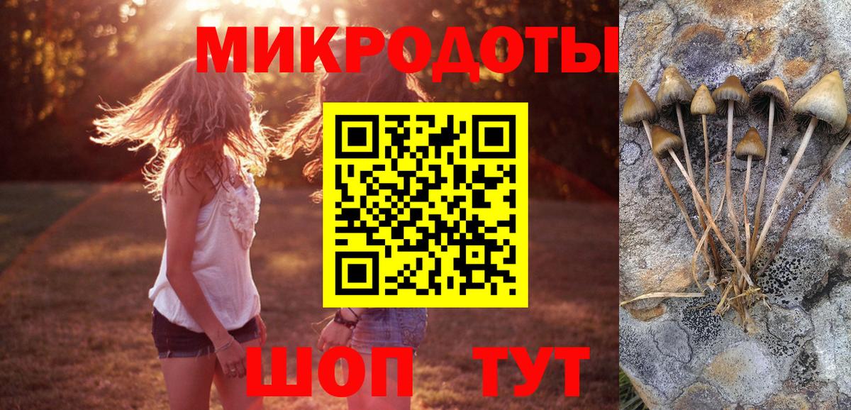 Тверь  сколько стоит  Галлюциногенные грибы прущие грибы  Вход с VPN  Галлюциногенные грибы Magic Shrooms 