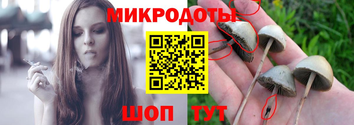 Галлюциногенные грибы прущие грибы Тверь